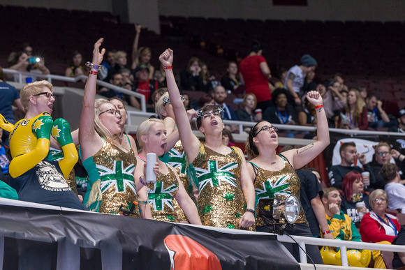2014 RollerDerby World Cup